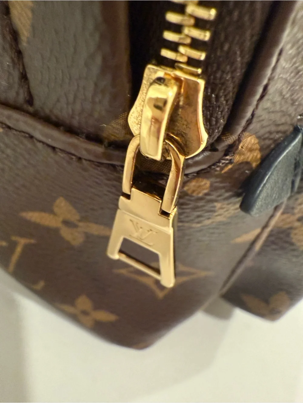 Louis Vuitton Palm Springs Mini Backpack